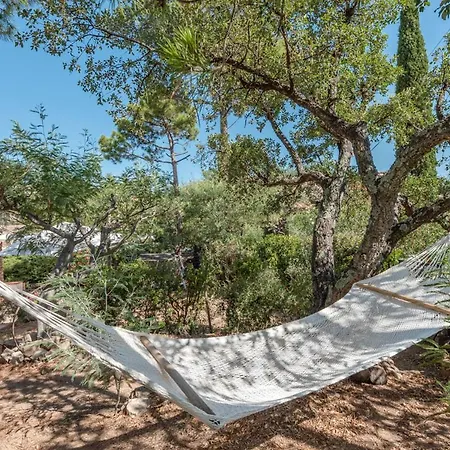 Villa, Jardin, Piscine Domaine, Ideal Visite Region Fréjus